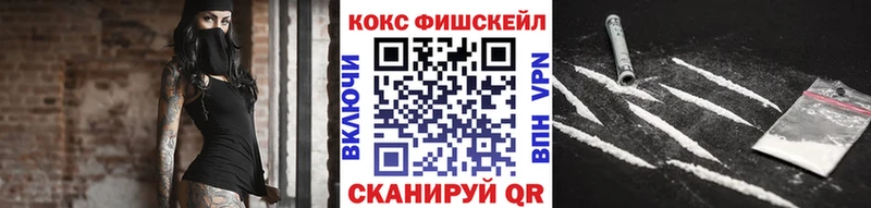 Кокаин Fish Scale  мега ССЫЛКА  Тулун 