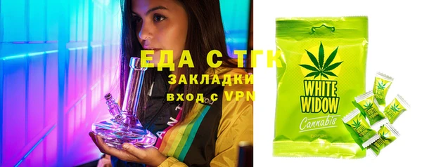 трава Гусиноозёрск
