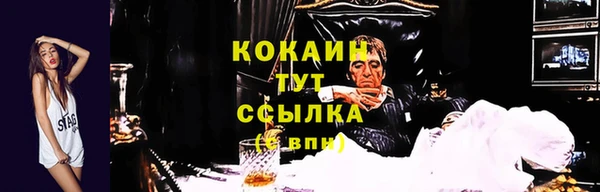 СК Гусев