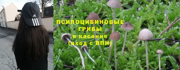 кокс Алзамай