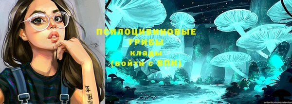 дживик Алексеевка
