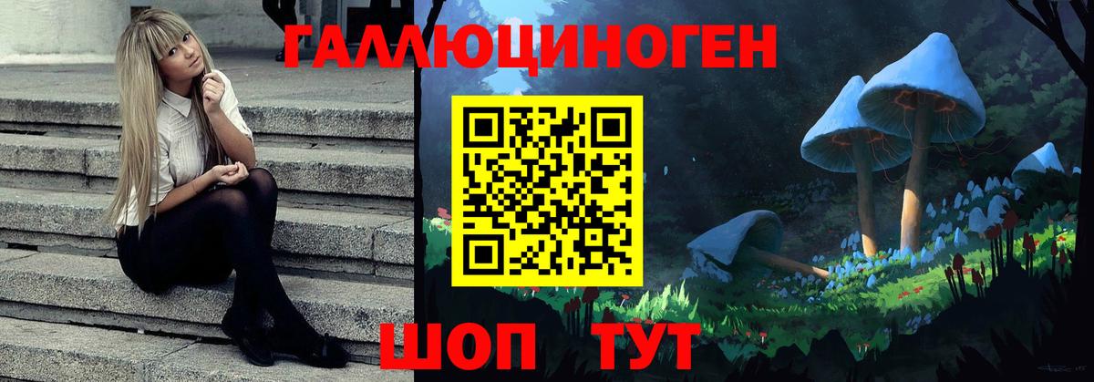 Тулун  Галлюциногенные грибы Cubensis  Вход с VPN  Галлюциногенные грибы MAGIC MUSHROOMS 