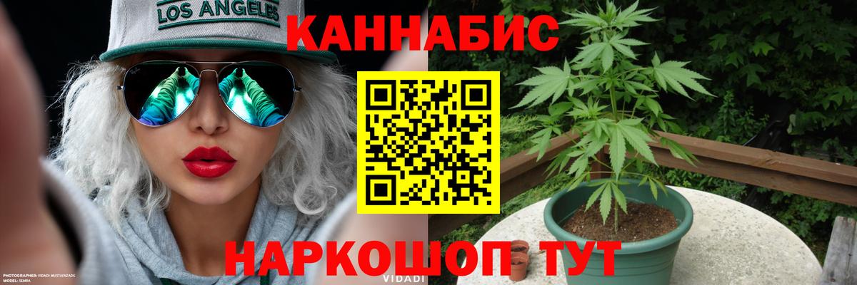 МАРИХУАНА Amnesia  Бошки марихуана план  Бошки Шишки сатива  Тулун  Вход с VPN 